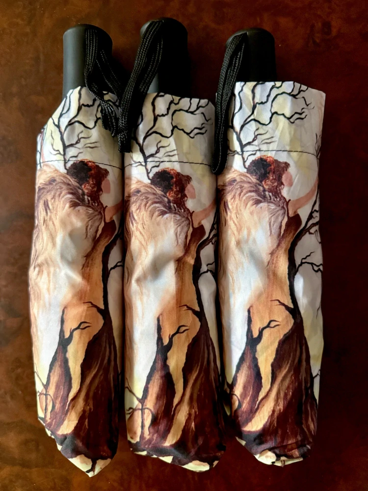 Andělský deštník